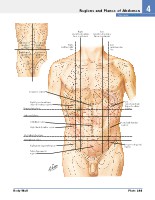 Frank H. Netter, MD - Atlas of Human Anatomy (6th ed ) 2014, page 280